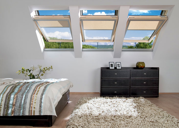 Roof Windows and Sun Tunnels